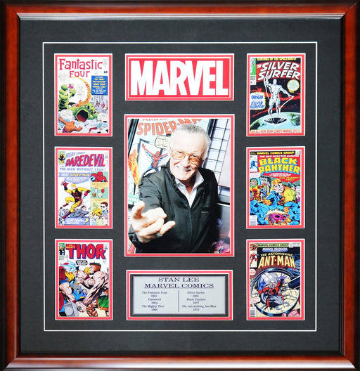 Stan Lee Marvel Comic Books Memorabilia Collector Frame